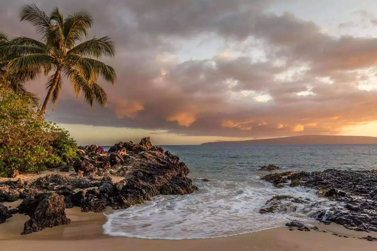 Plano general de una playa con rocas y palmeras en medio de un atardecer nublado