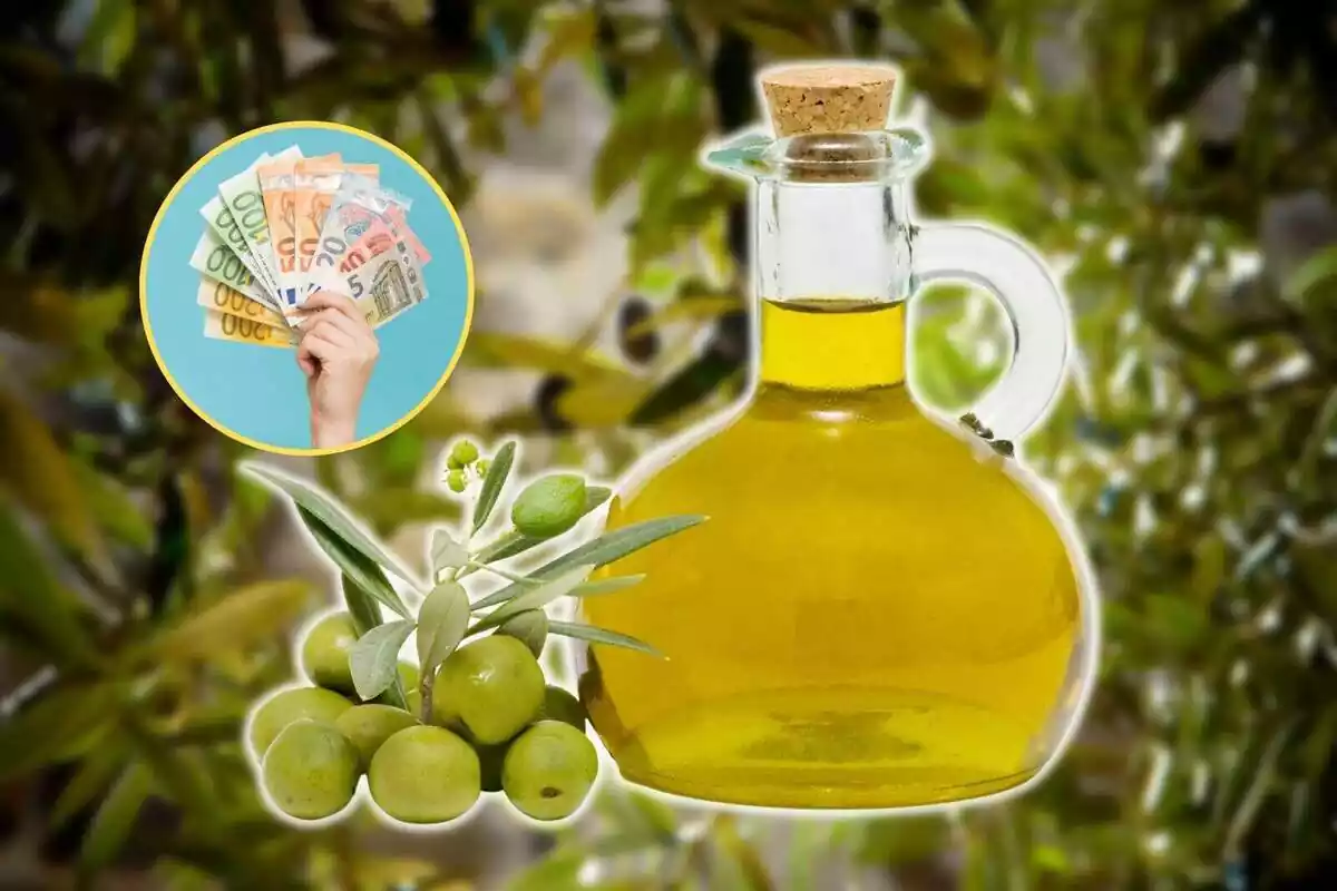 Aceitera con aceite de oliva con el fondo de una olivera y una imagen destacada a la izquierda de una mano con billetes