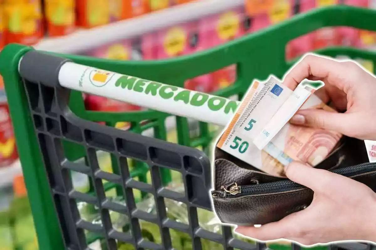 Montaje con carrito de la compra de Mercadona y manos sujetando monedero con billetes de euro