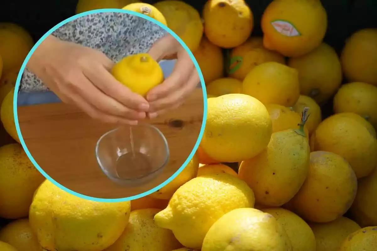 Montaje con limones de fondo y círculo azul con persona exprimiendo limón