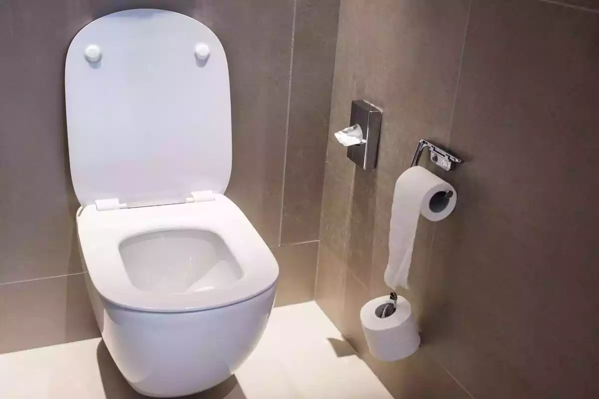 Plano de un baño donde se ve el retrete y el papel de lavabo